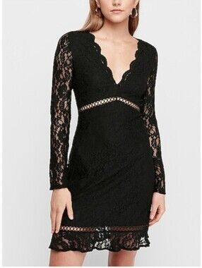 Express black lace mini dress long sleeve V Neck Zip Up Open Back Floral Eyelet